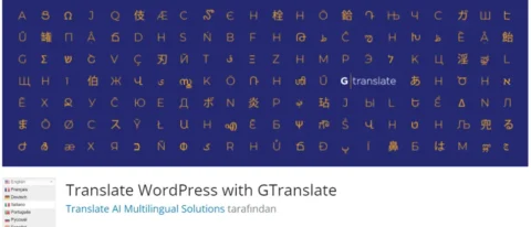 GTranslate, WordPress sitenizi kolayca çok dilli bir platforma dönüştüren popüler bir çeviri eklentisidir.