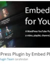 YouTube WordPress Plugin by Embed Plus, WordPress sitenize kolayca YouTube videoları, oynatma listeleri ve canlı yayınları yerleştirmenizi sağlayan popüler bir eklentidir.